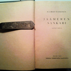 Hänninen Kaarlo: Jäämeren sankari, v. 1925 - pikkukuva 3