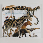 Museum fur naturkunde - The exhibitions - pikkukuva 2