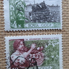 CCCP 1961: maatalouden saavutuksia - pikkukuva 1