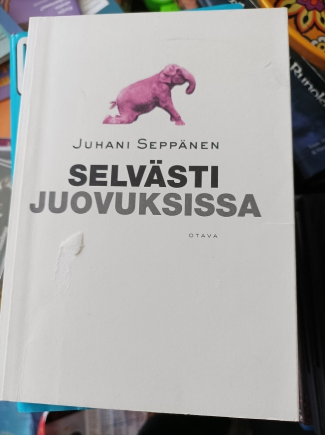 Juhani Seppänen Selvästi juovuksissa