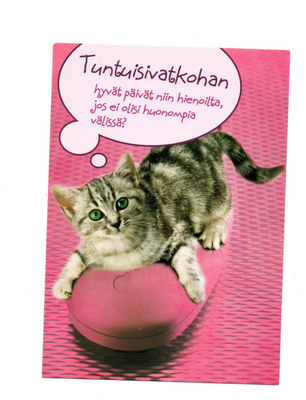 °°KISSA ...Pohtii°° - KORTTI /Paletti (Kulkematon)