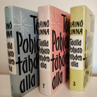 TÄÄLLÄ POHJANTÄHDEN ALLA - trilogia - pikkukuva 3