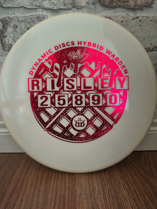 DYNAMIC DISCS HYBRID WARDEN