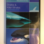 Sharks & Killer Whales - Killer Instinct (DVD) Dokumentti - pikkukuva 1