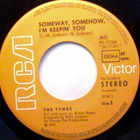 THE TYMES  ::  SOMEWAY, SOMEHOW  ::  VINYYLI  7"   1975 !! - pikkukuva 2