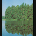 Suomi vuosilajitelma 1991** - pikkukuva 5