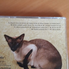 IRINA - pikkukuva 2
