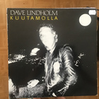 Dave Lindholm Kuutamolla LP - pikkukuva 1
