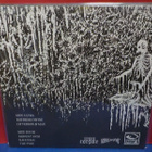 FROGSKIN - III - INTO DISGUST EU 2023 JAN 19 M-/M- LP - pikkukuva 2