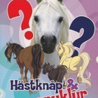 Sandy Ransford: Hästknåp och ponnyklur - pikkukuva 1
