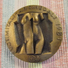 Wäinö Aaltonen 1894-1966 mitali 1981 /Terho Sakki -80. - pikkukuva 2