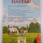 Jackie Budd : Hästar! : historik, beteende, raser, ridnin... - pikkukuva 2