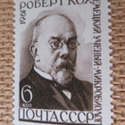 CCCP 1961: Robert Koch - 50 v. kuolemasta - pikkukuva 1