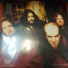STRAPPING YOUNG LAD - STRAPPING YOUNG LAD M-/M- LP - pikkukuva 2