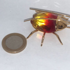 Swarovski 240363 Paradise Bugs Beetle Amazar fire opal mediu - pikkukuva 4