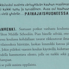 R. L. Stine: Kiusanhenki - pikkukuva 3
