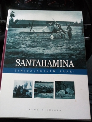 SANTAHAMINA SINIVALKOINEN SAARI