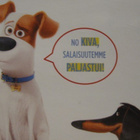 LEMMIKKIEN SALAINEN ELÄMÄ 1 DVD - pikkukuva 3