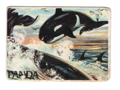 Purkkakuva Panda Meren salaisuudet n:o 63