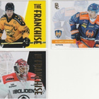 2024/25 Blueline Franchise Gold /500 kortit 3e kpl - pikkukuva 2