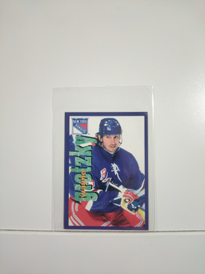 1998-99 Panini Stickers #80 Wayne Gretzky