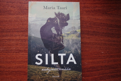 Maria Taari: Silta näkymättömään (2022)