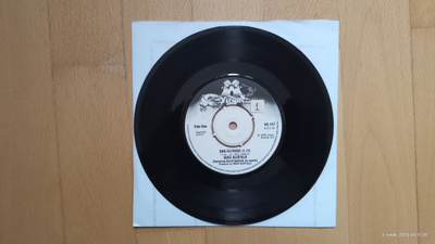 MIKE OLDFIELD : Don Alfonso 7"