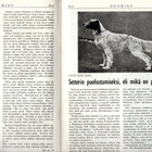 Erämies n:o 3 1961 Kalaportaat. Viljo Mahlamäki Pori. 50 v. - pikkukuva 4