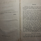 BIBLISTA HISTORIEN ruotsalainen KIRJA -1875- raamattu - pikkukuva 2