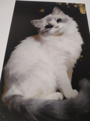Kissa kortti,kulkematon.