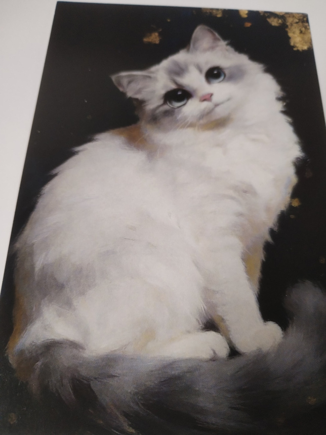 Kissa kortti,kulkematon.