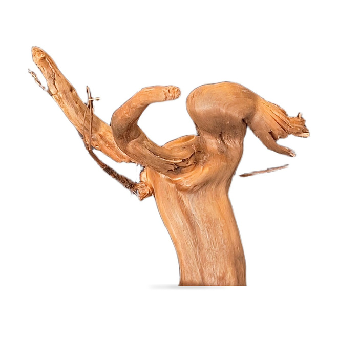 Uniikki akvaariojuurakko 19 cm | 232638