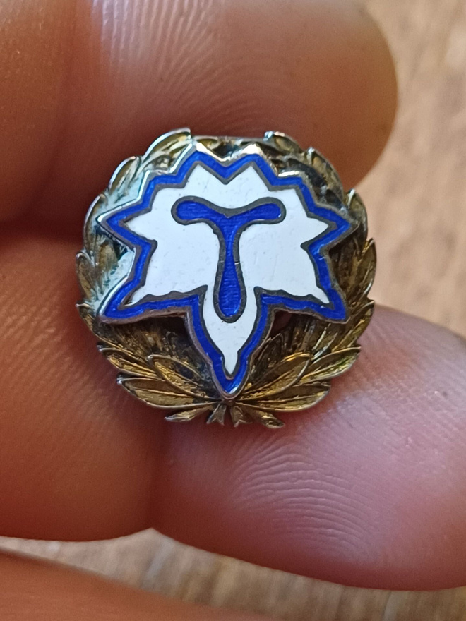 Kälviän Tarmo ruuvimerkki, n.28