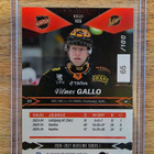 BASE GOLD Vilmos Gallo/KooKoo - pikkukuva 2