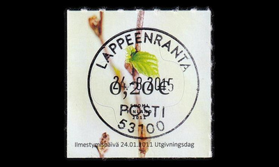 2058 o Koivunsilmu loisto Lappeenranta 24.8.15 (2011)