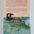 Laura Ingalls Wilder : Onnen kultaiset vuodet - pikkukuva 2