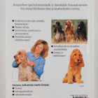 Lesley Scott-Ordish : Cockerspanieli : omistajan opas - pikkukuva 2