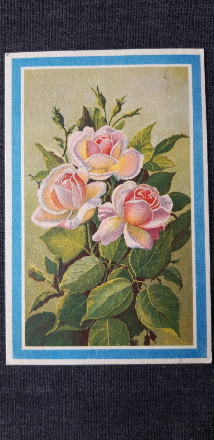 Elena Kojine vanha kukkakortti, kuvataide kortti  v. 1951