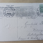 Hopeinen kana, kultaisia tipuja, pajunkissoja p. 1914 - pikkukuva 2