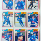 83-84 Opc - Quebec Nordiques 12kpl - pikkukuva 1