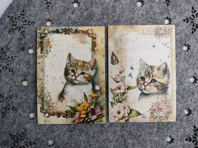 ~Kissa kortti~ 2kpl