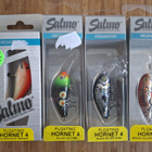 Salmo Hornet 4F 4kpl - pikkukuva 1