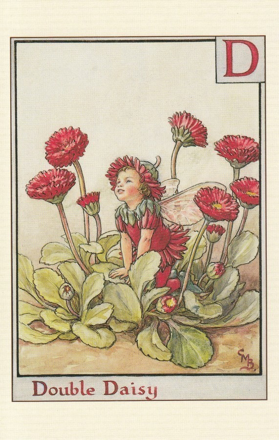 Cicely Mary Barker: Tuhatkaunon keiju, kirjain D
