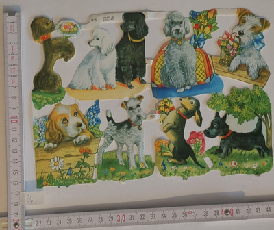 Kiiltokuva setti nro 26. KOIRA ARKKI MLP 1658