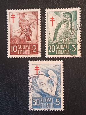 TUB-56 Lintuja