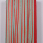 Margrit Hauser : Erika perustaa kodin : romaani tytöille - pikkukuva 2