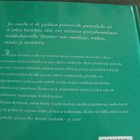 Drameus-Åberg - Persson Pihan ruukkukasvit - pikkukuva 2