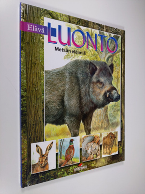 Arturo Arzuffi : Elävä luonto : Metsän eläimiä