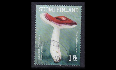 2438 o Ruokasieniä isohapero (2016)