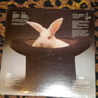 PETER RABBITT -  Roadstar Peter Rabbitt - LP 1979 - pikkukuva 2